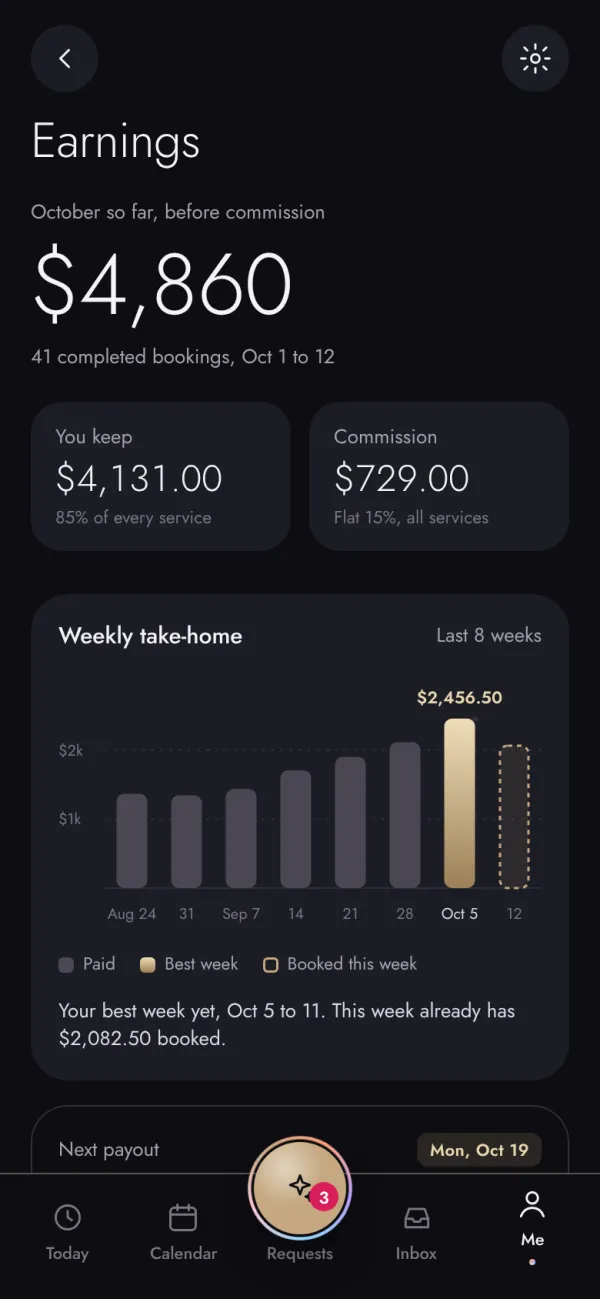 Provider earnings and payouts